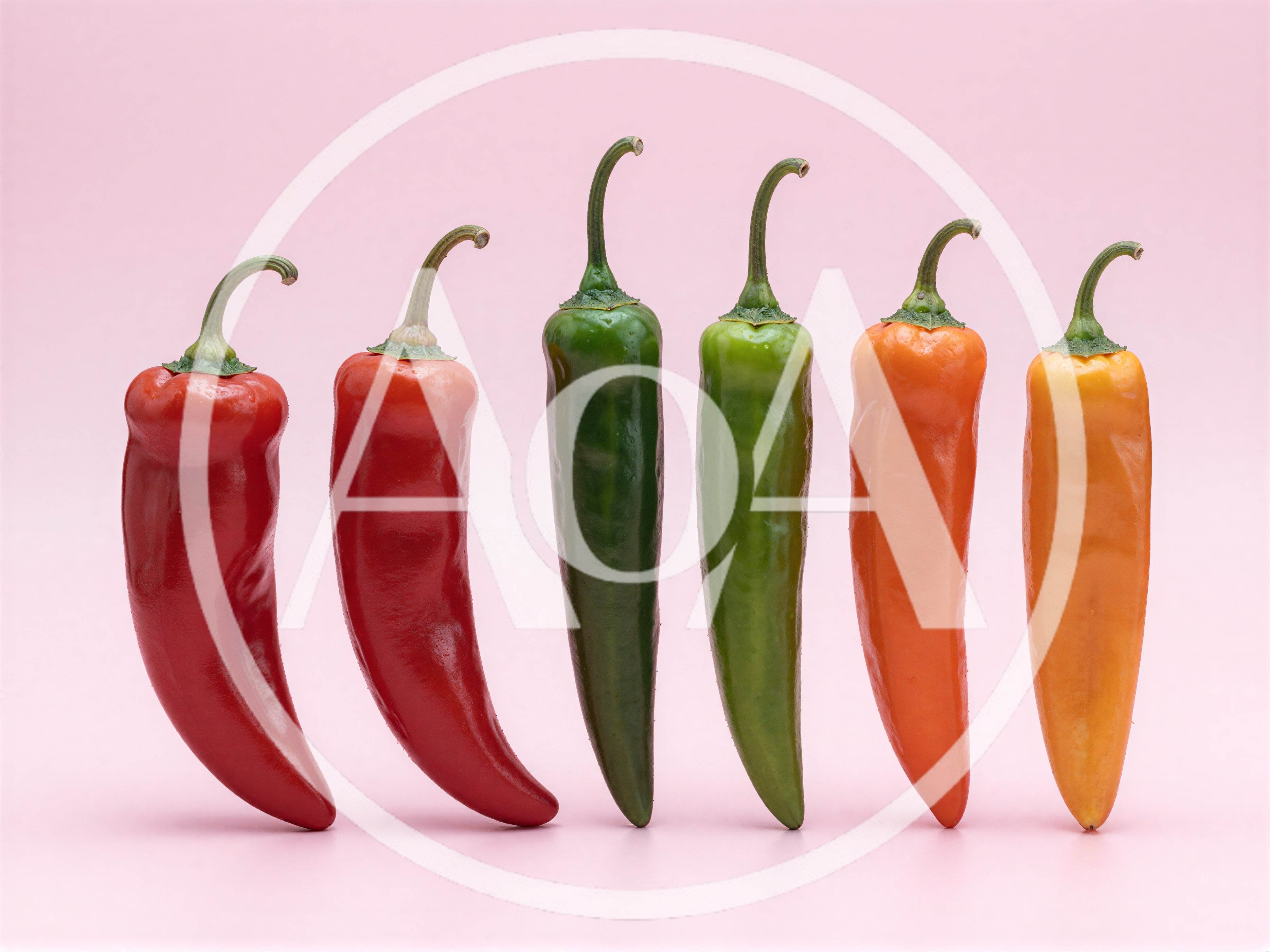 Six Colorful Chili Peppers Lined Up On Pink Background
