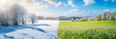 Seasonal Transition Landscape With Winter And Spring