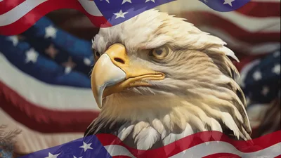 Majestic Bald Eagle Portrait With Waving American Flag
