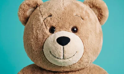 Close Up Portrait Of A Cute Teddy Bear