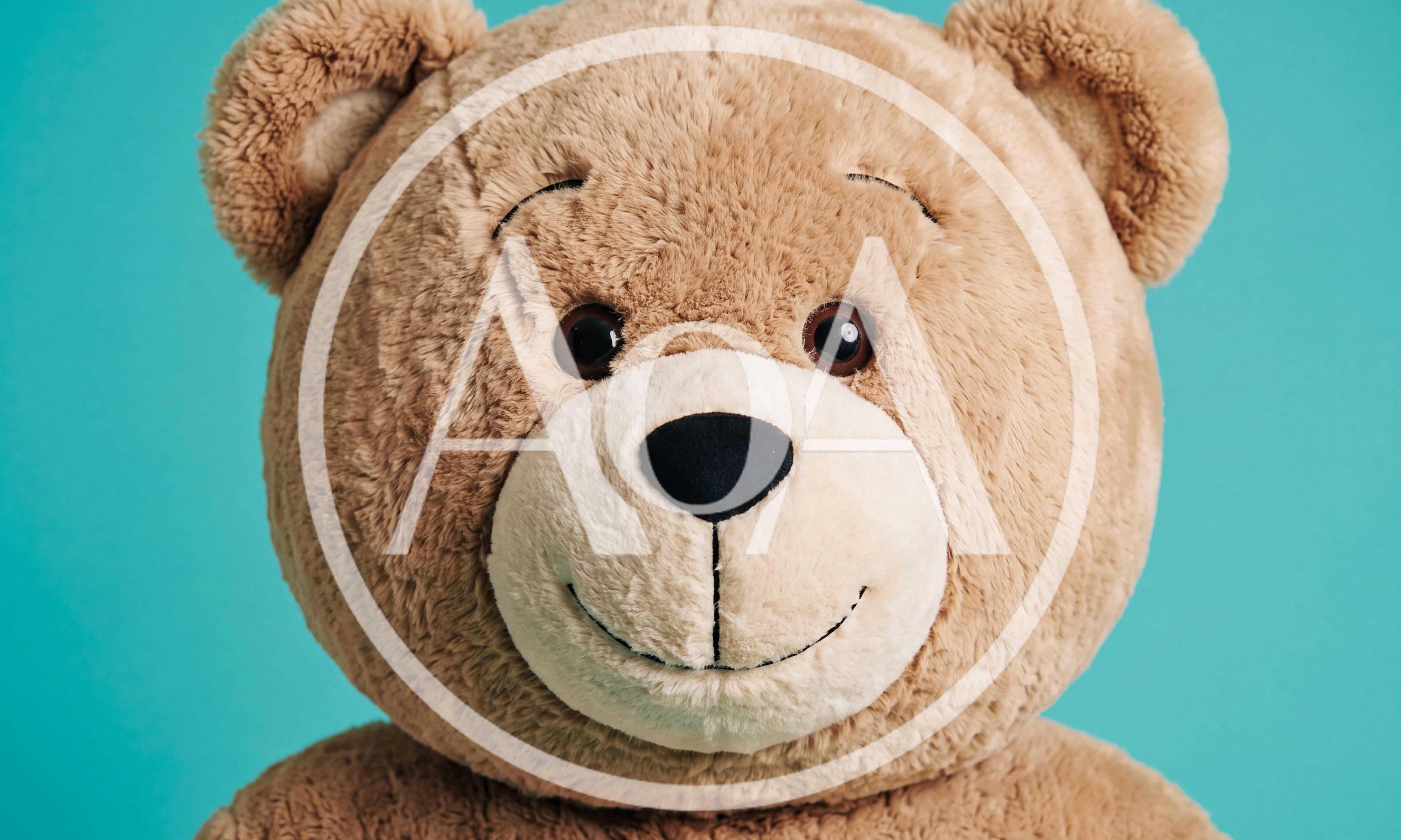 Close Up Portrait Of A Cute Teddy Bear