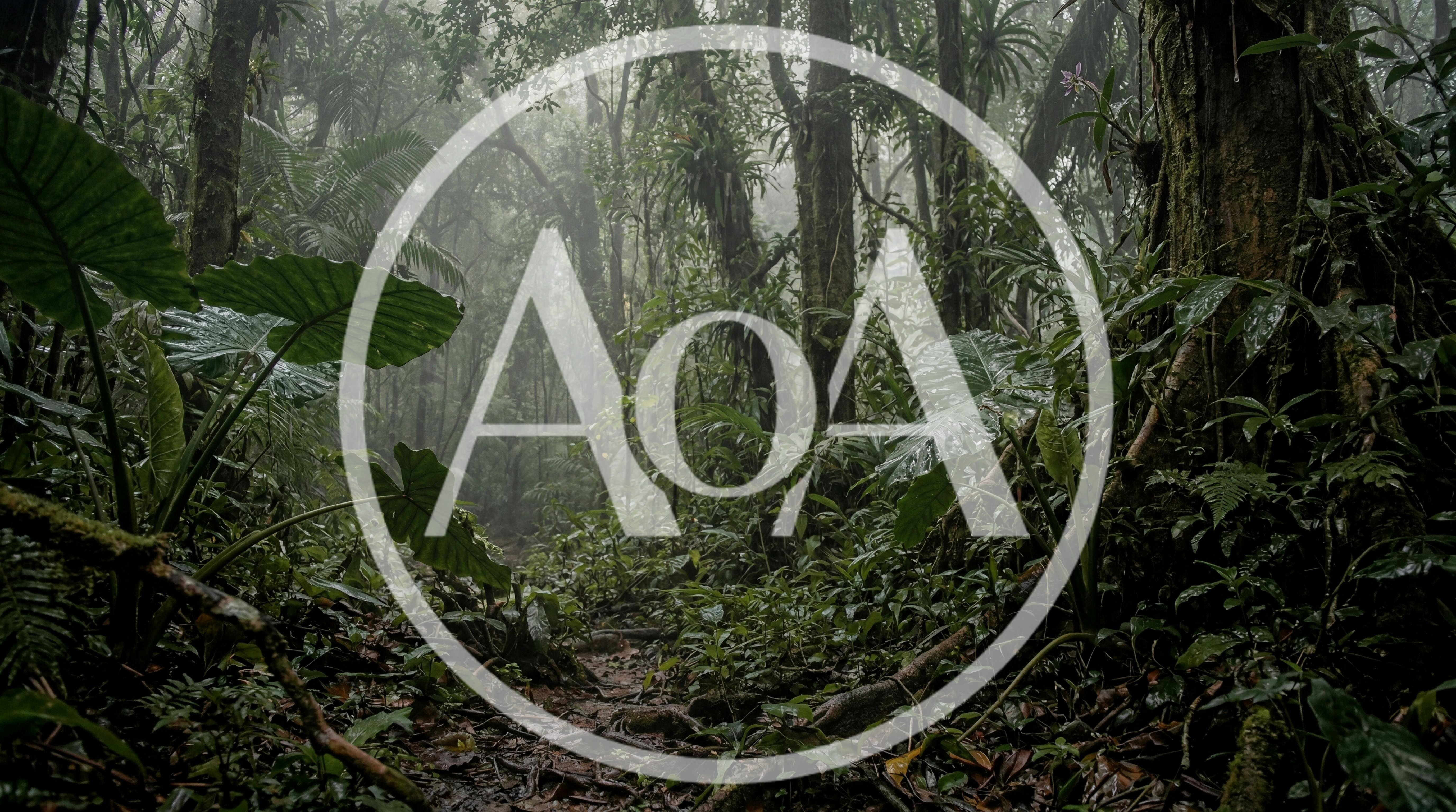 Lush Tropical Rainforest Path In Misty Weather