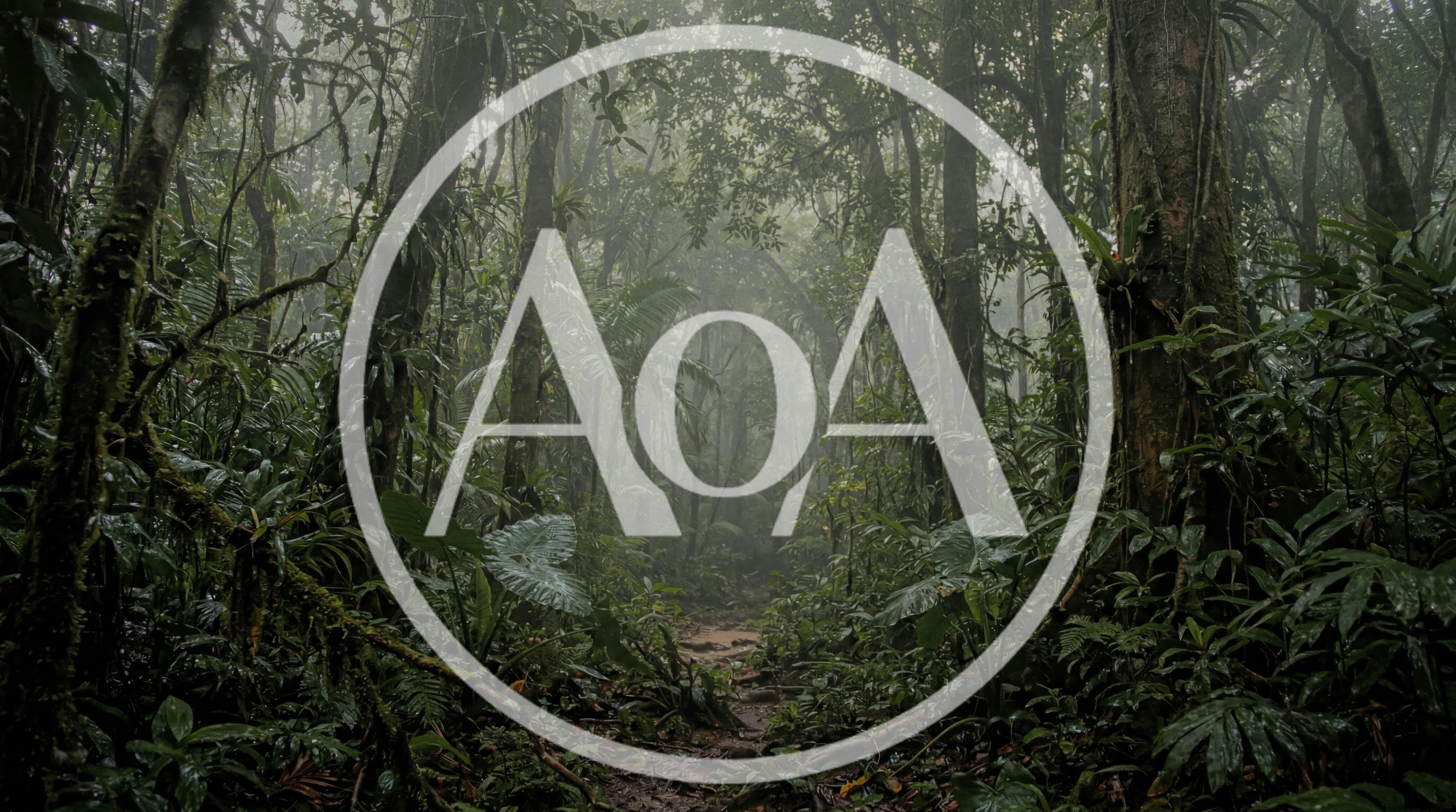 Misty Tropical Rainforest Trail In Costa Rica