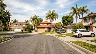 Suburban Residential Street With Palm Trees And Houses