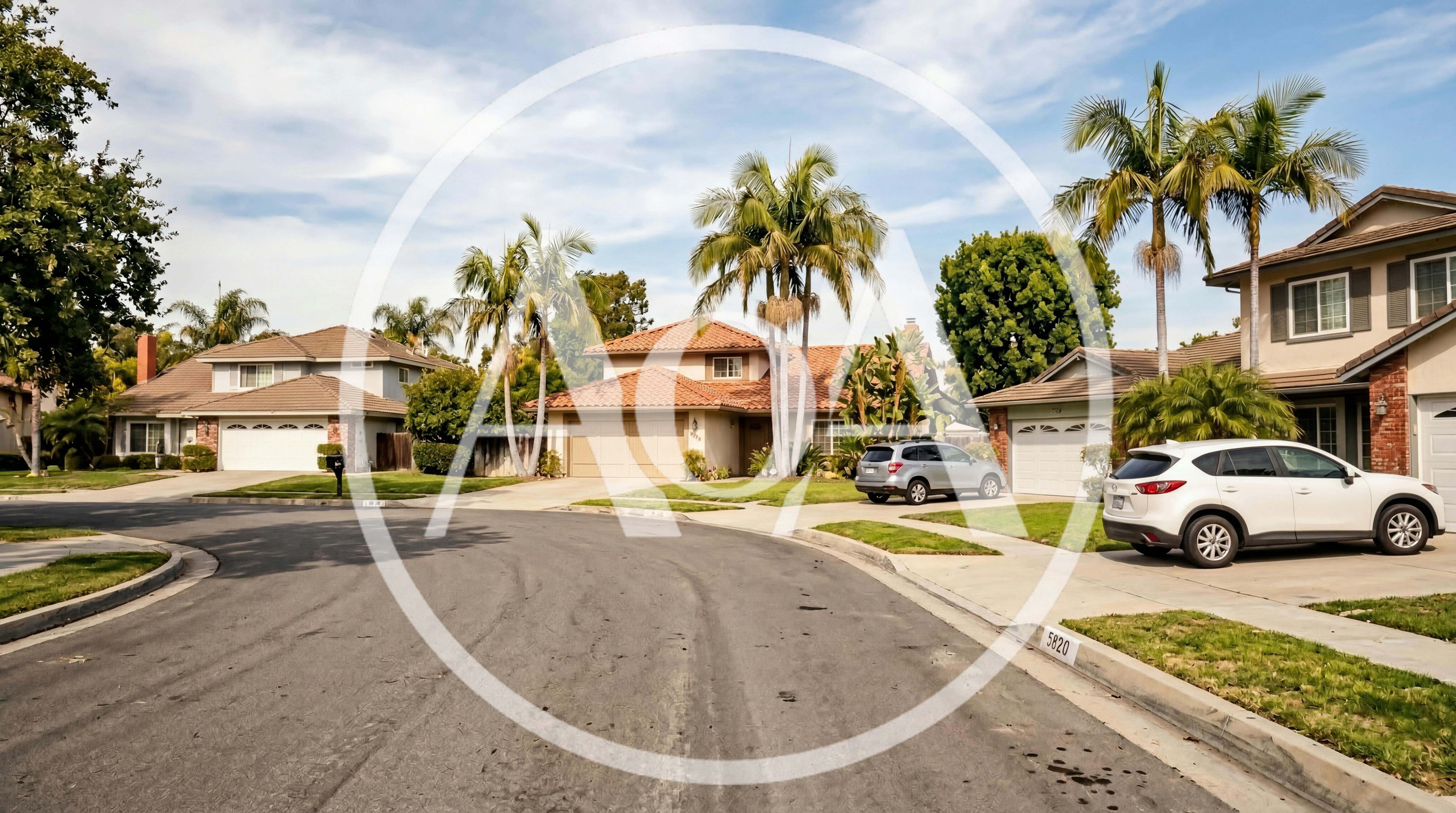 Suburban Residential Street With Palm Trees And Houses