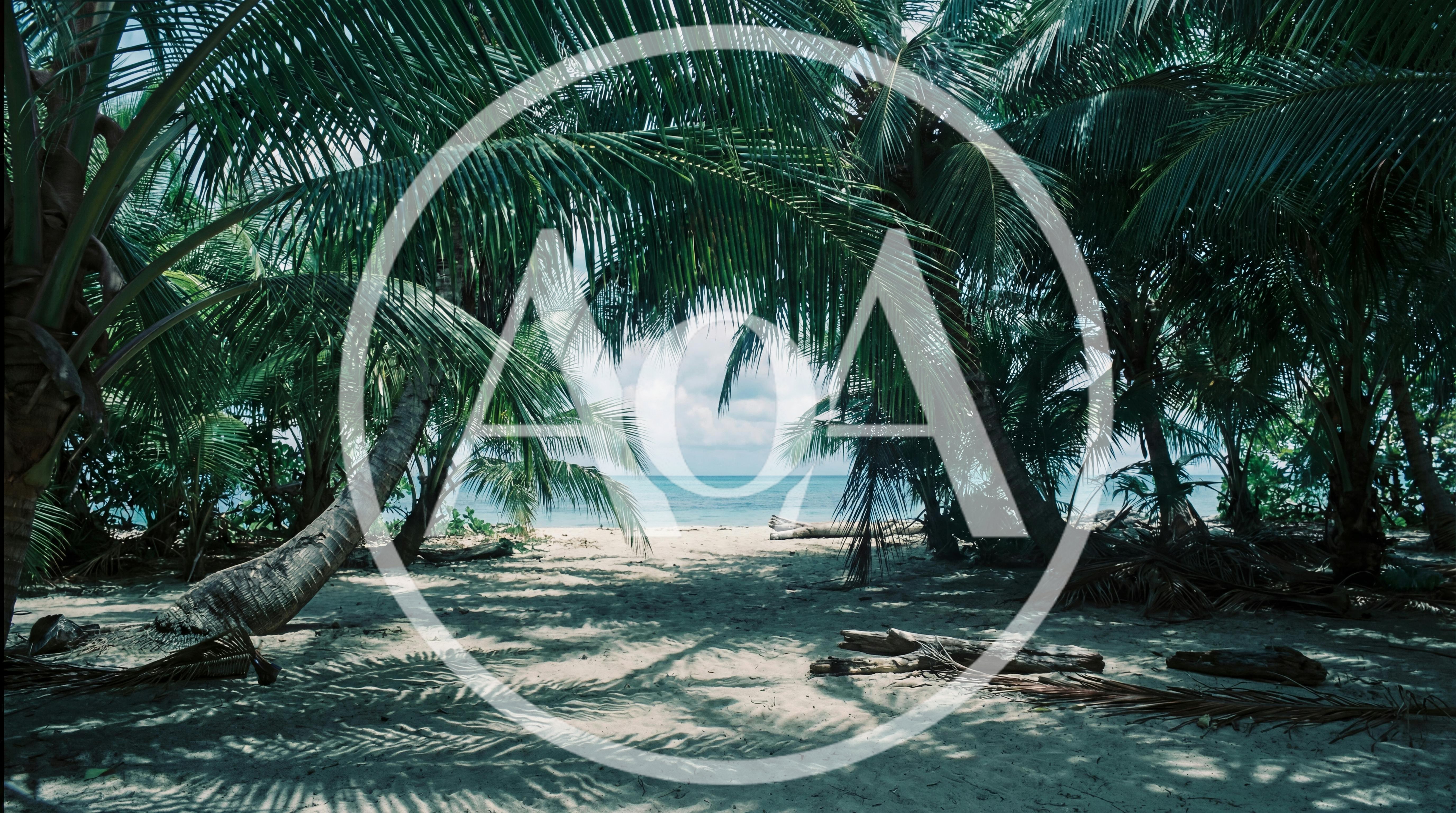 Tropical Beach View Through Palm Trees