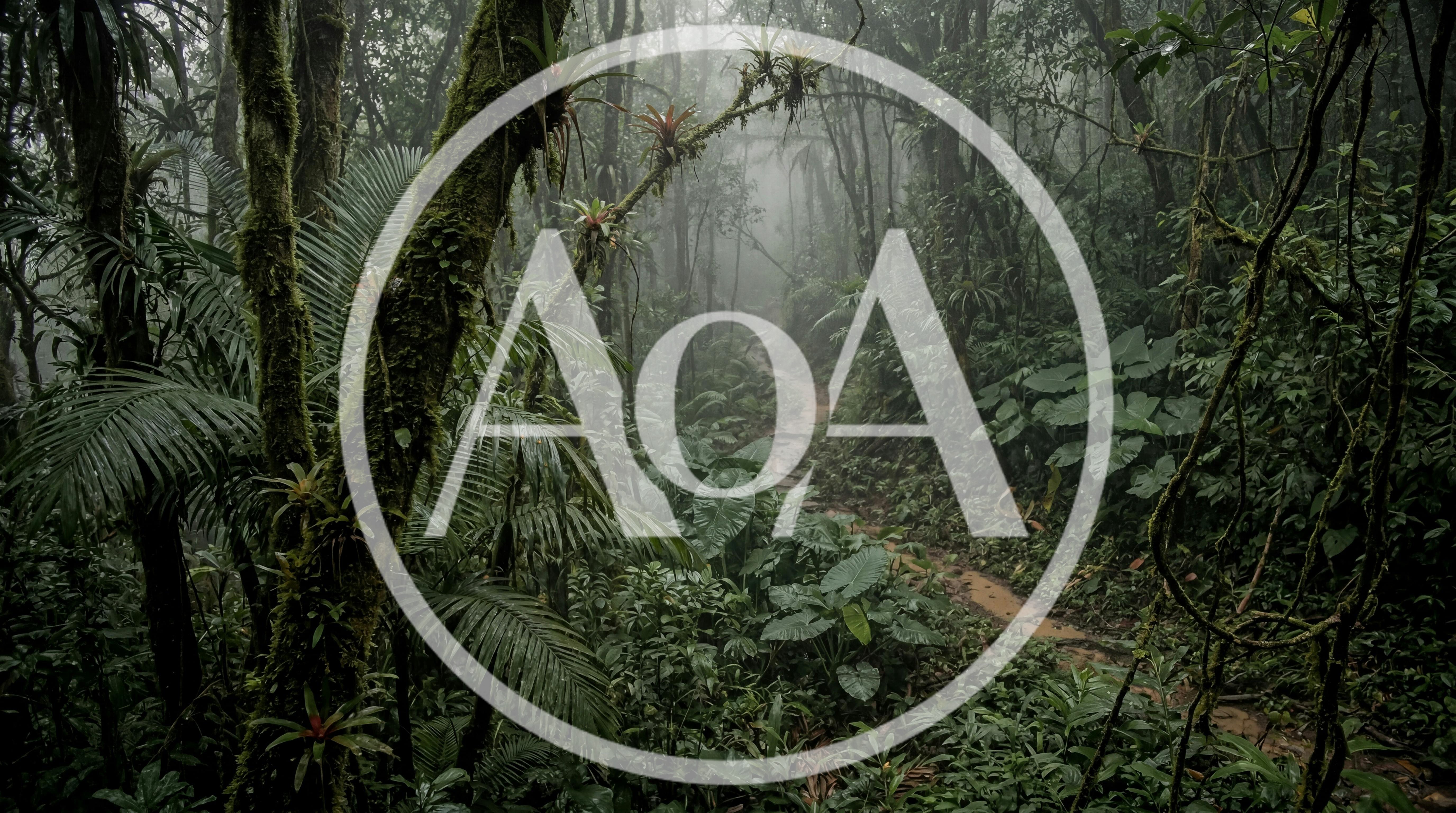 Misty Tropical Rainforest Trail In Costa Rica