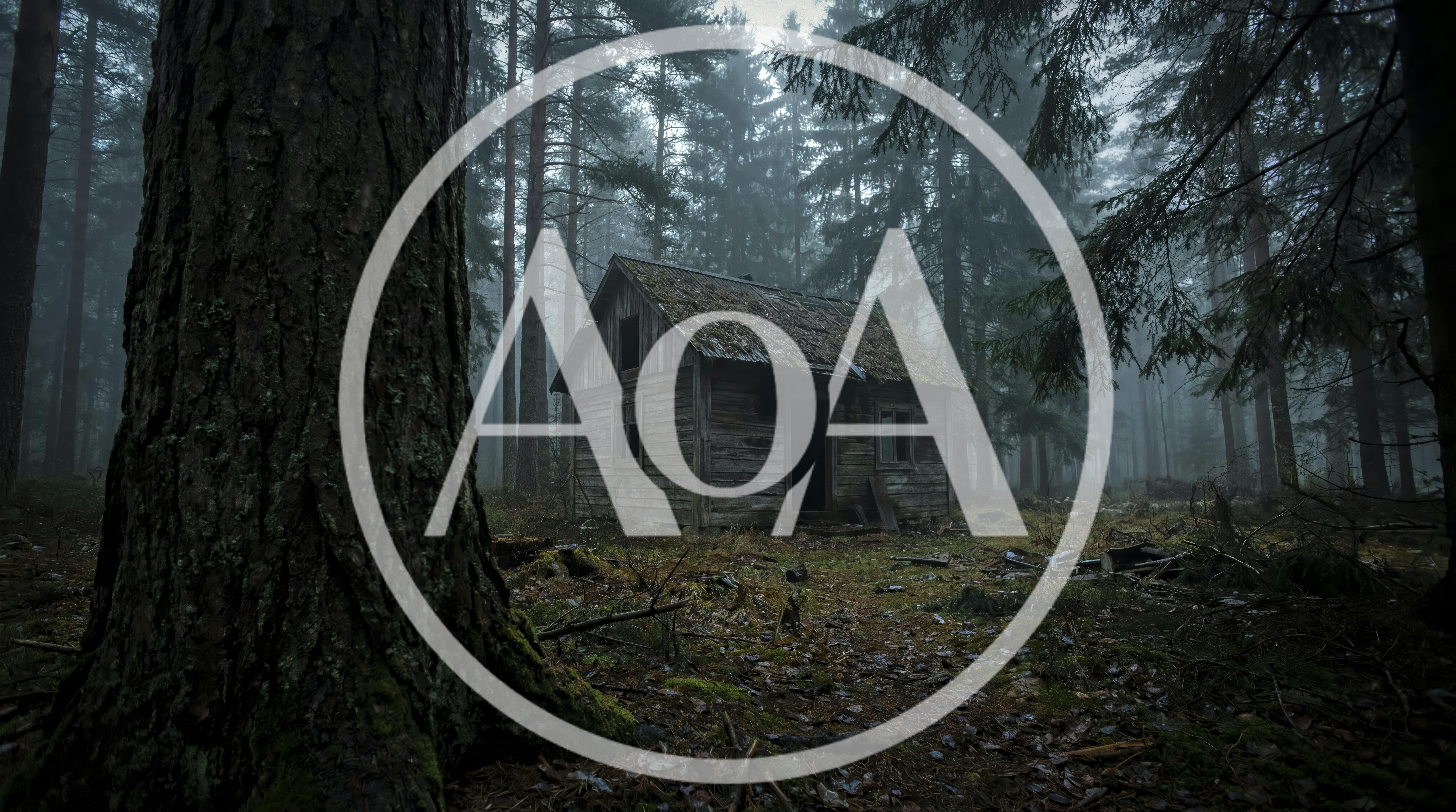 Abandoned Wooden Cabin in a Misty Dark Forest