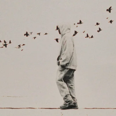 Person In Hoodie Walking Past A Flock Of Birds