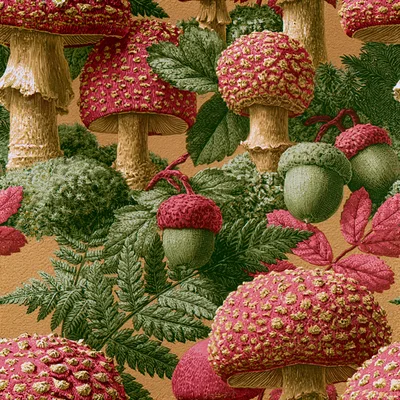 Vintage Botanical Illustration Of Mushrooms And Acorns