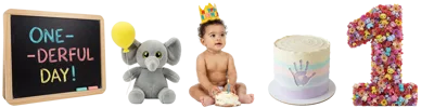 First Birthday Celebration With Baby Elephant And Cake
