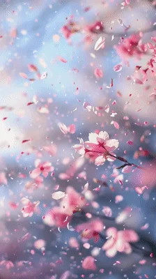 Pink Cherry Blossom Petals Falling In Spring Breeze
