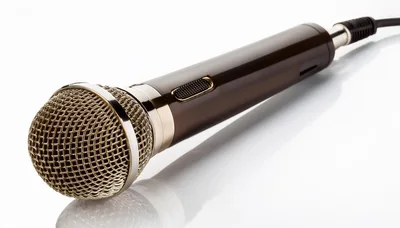 Professional Handheld Microphone On A White Background
