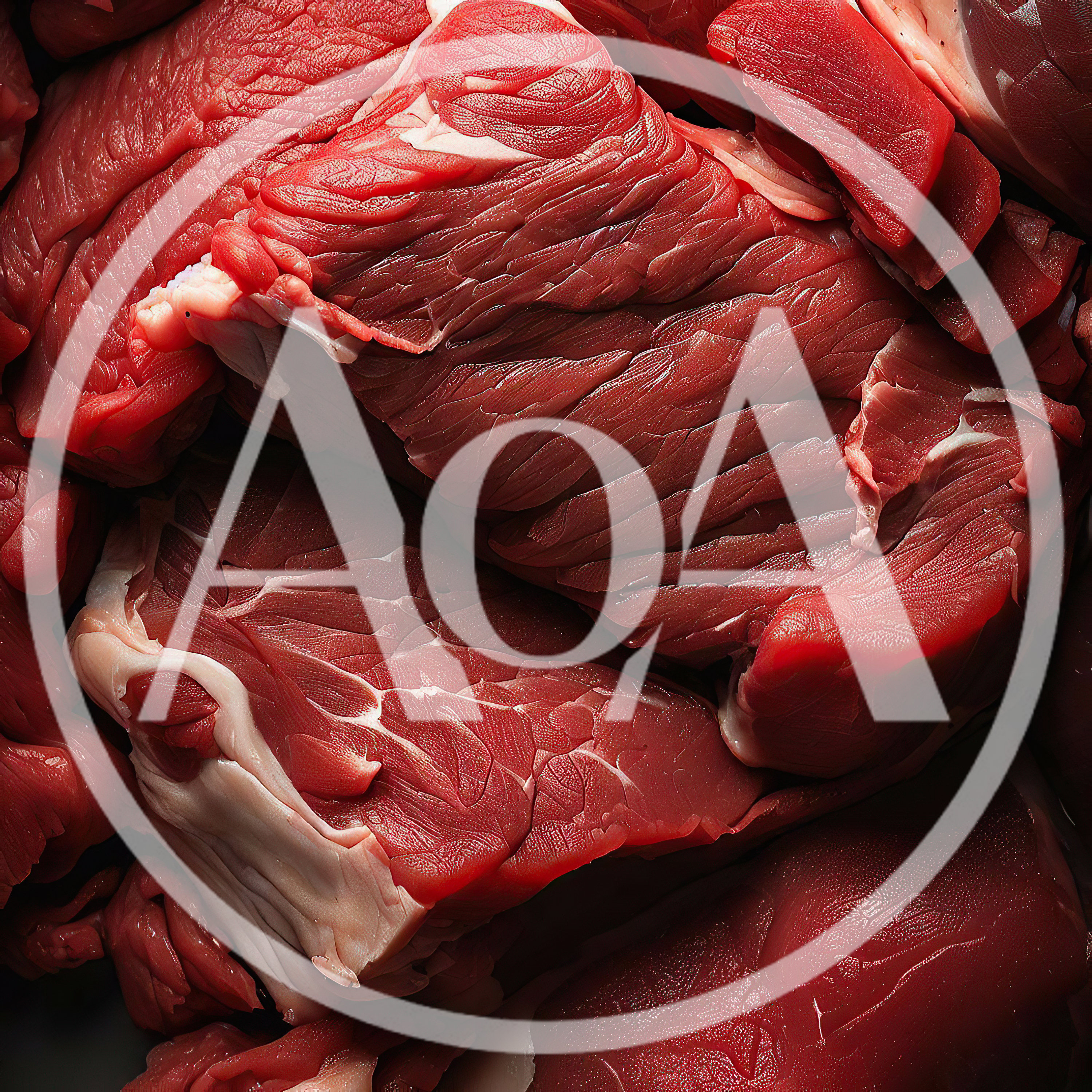 Fresh Raw Beef Meat Cuts Close Up