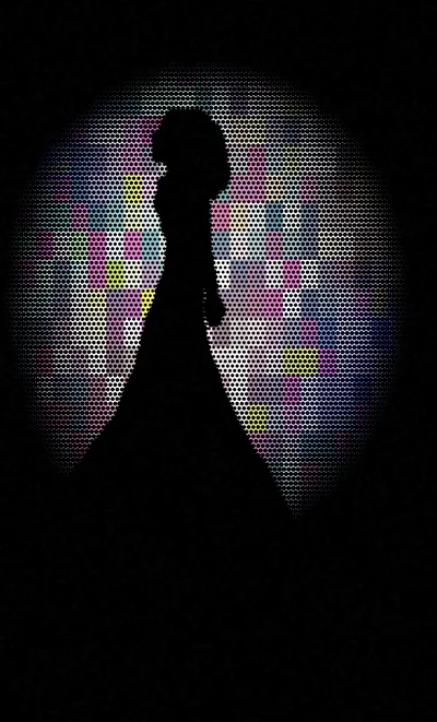 Silhouette Of A Woman In A Long Dress