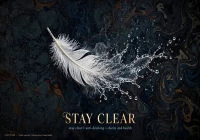 White Feather With Water Splash On Abstract Background