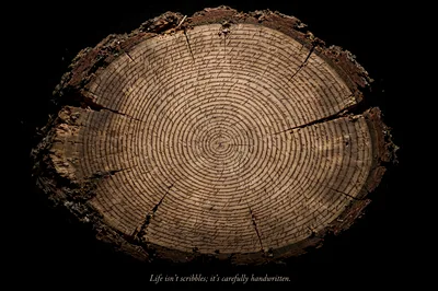 Handwritten Text Spiraling Across Tree Ring Cross Section