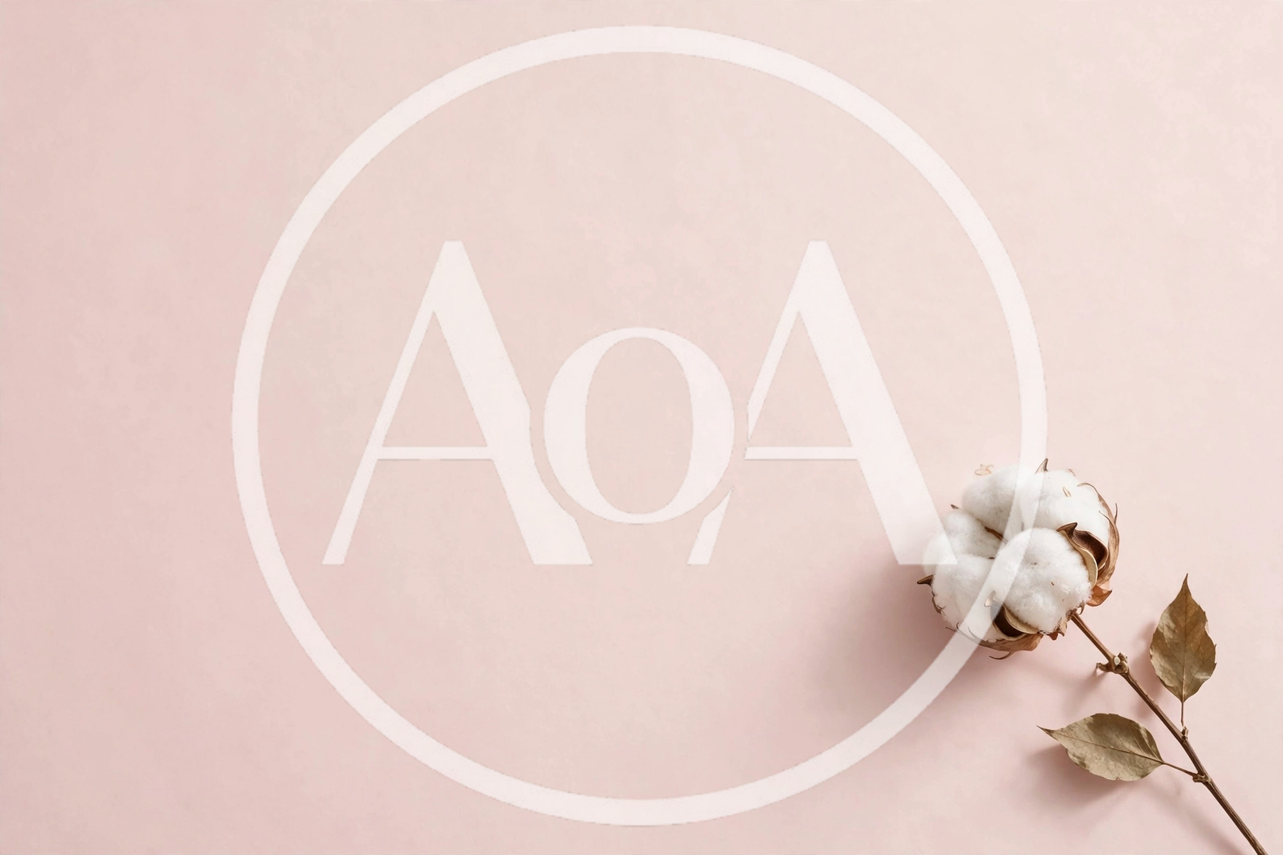 Single Cotton Flower Stem On Pastel Pink Background
