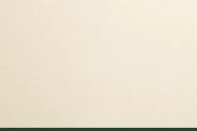Solid Cream Textured Paper Background With Green Border