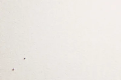 Two Small Purple Beads On Textured White Paper