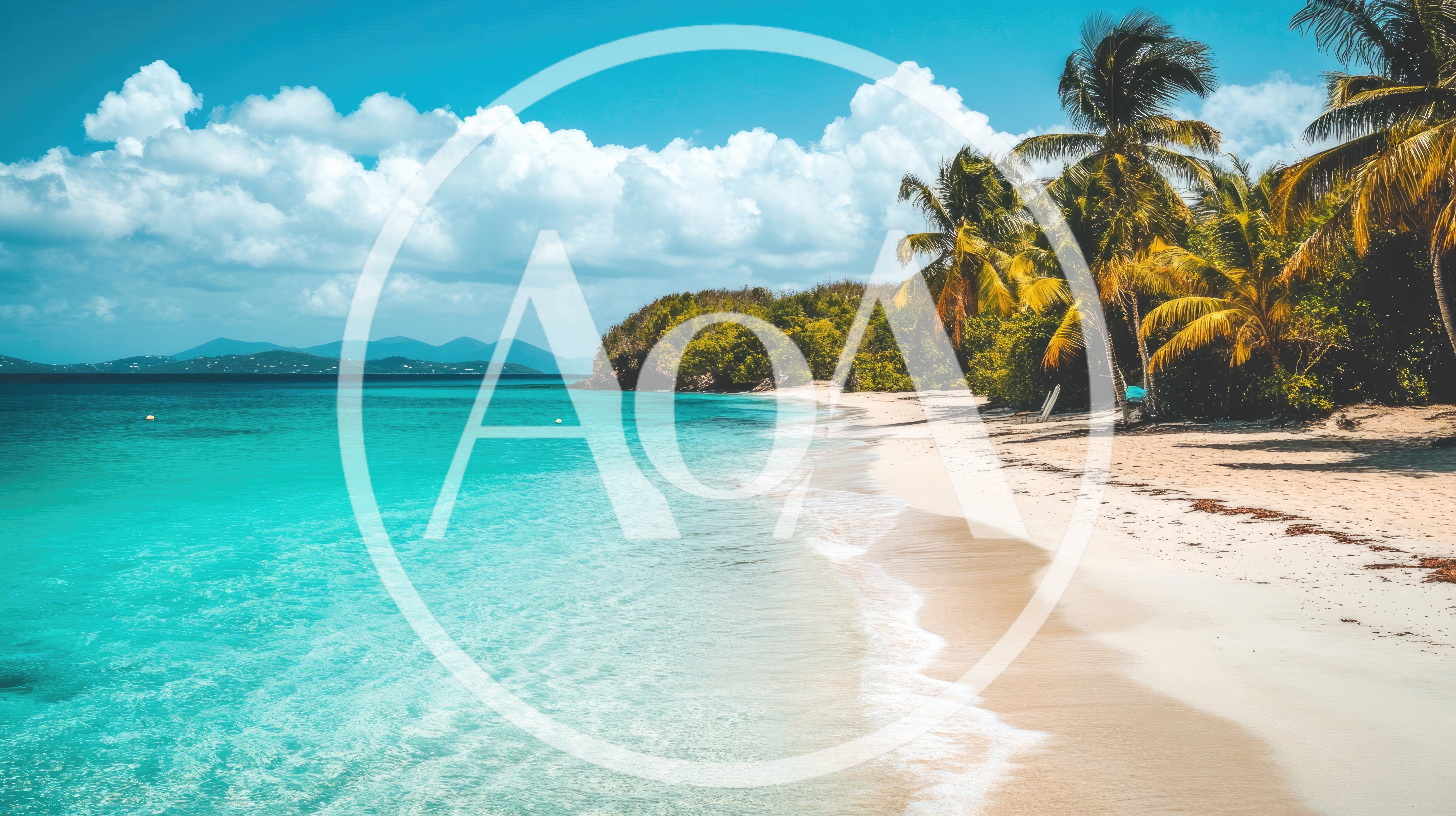 Tropical Beach Shoreline With Palm Trees And Turquoise Water