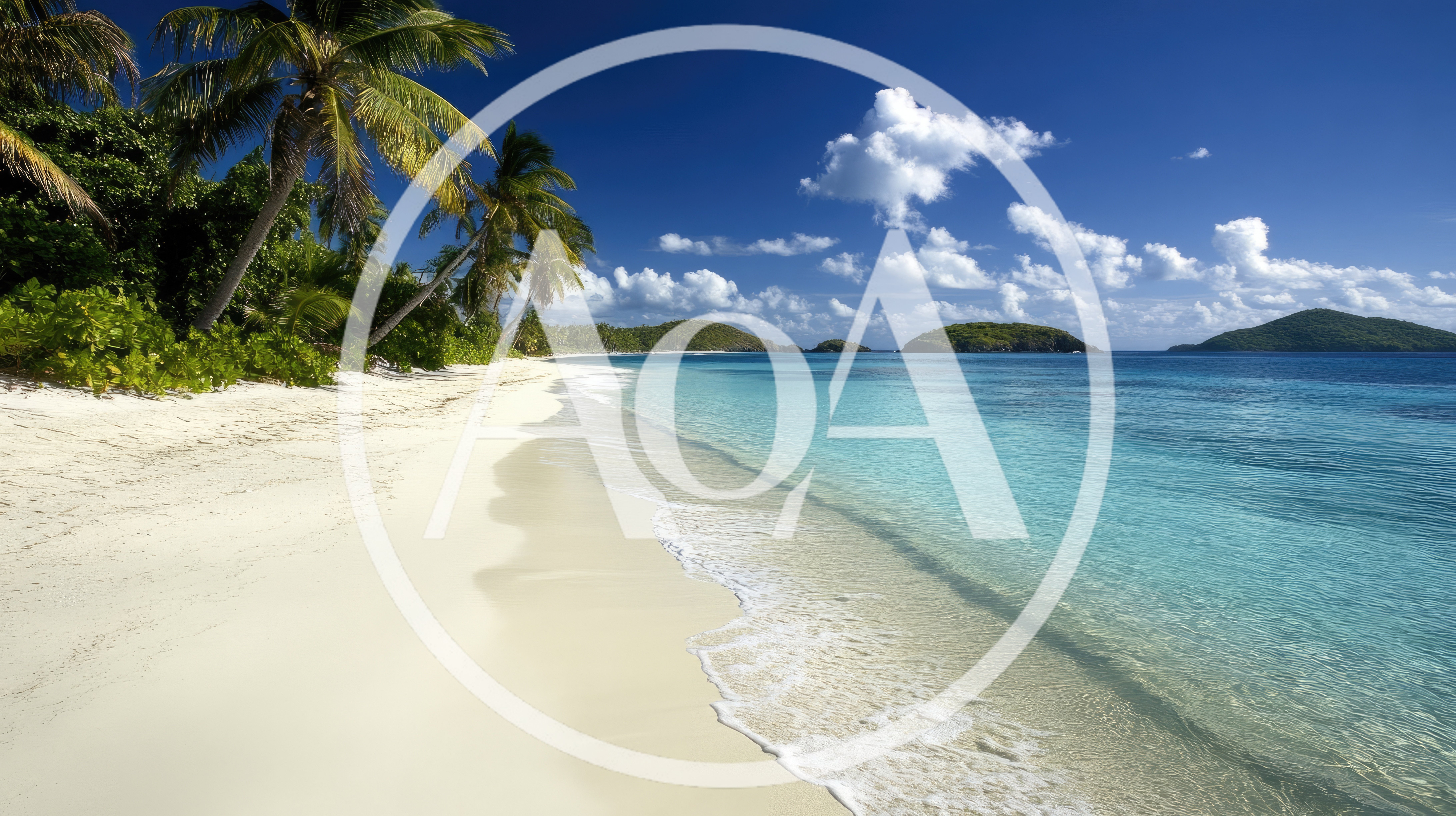 Tropical Beach With Palm Trees And Turquoise Water
