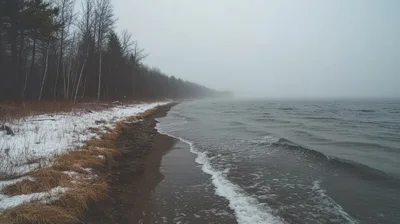 Foggy Shoreline With Snow And Bare Trees