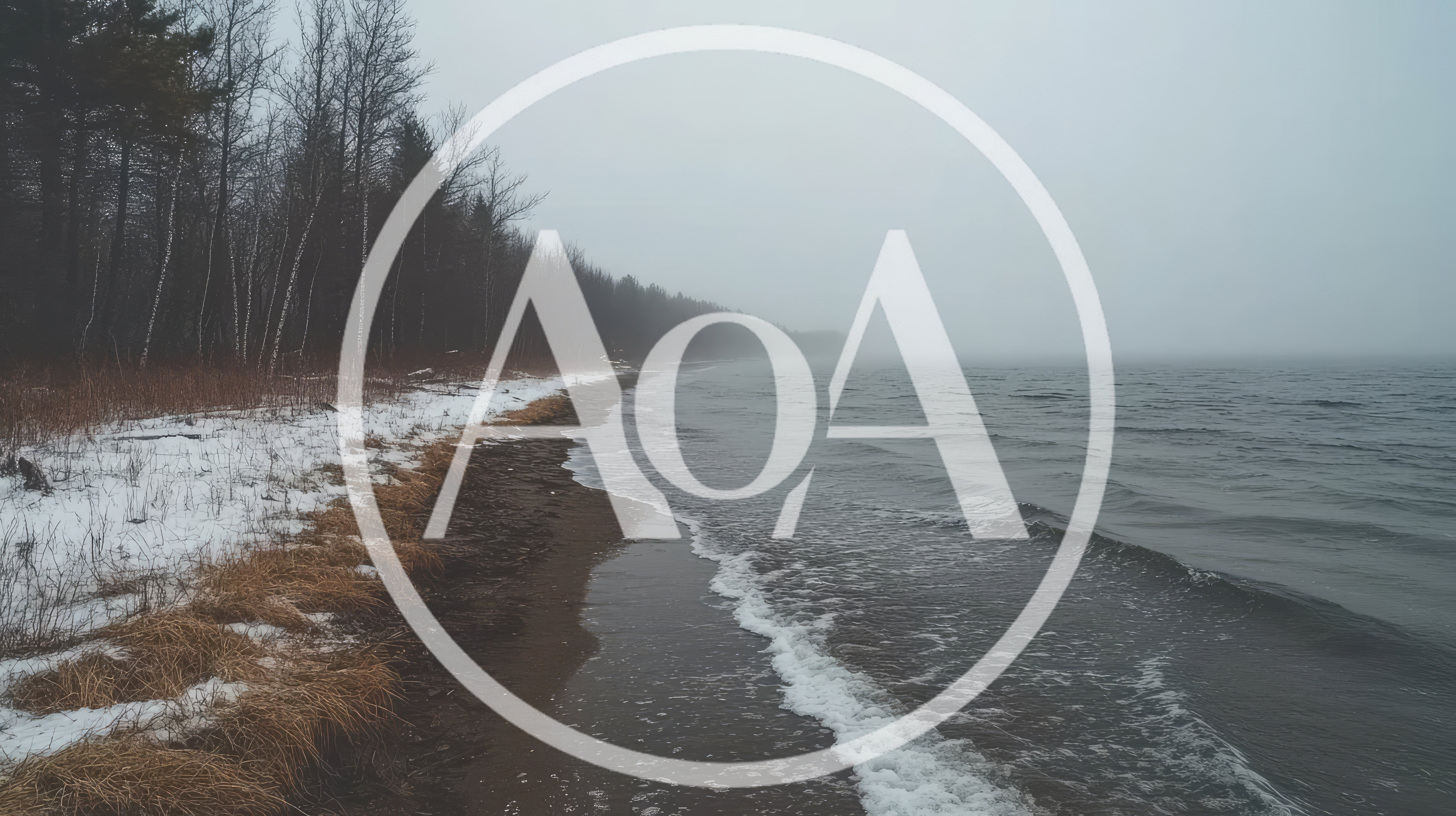 Foggy Shoreline With Snow And Bare Trees