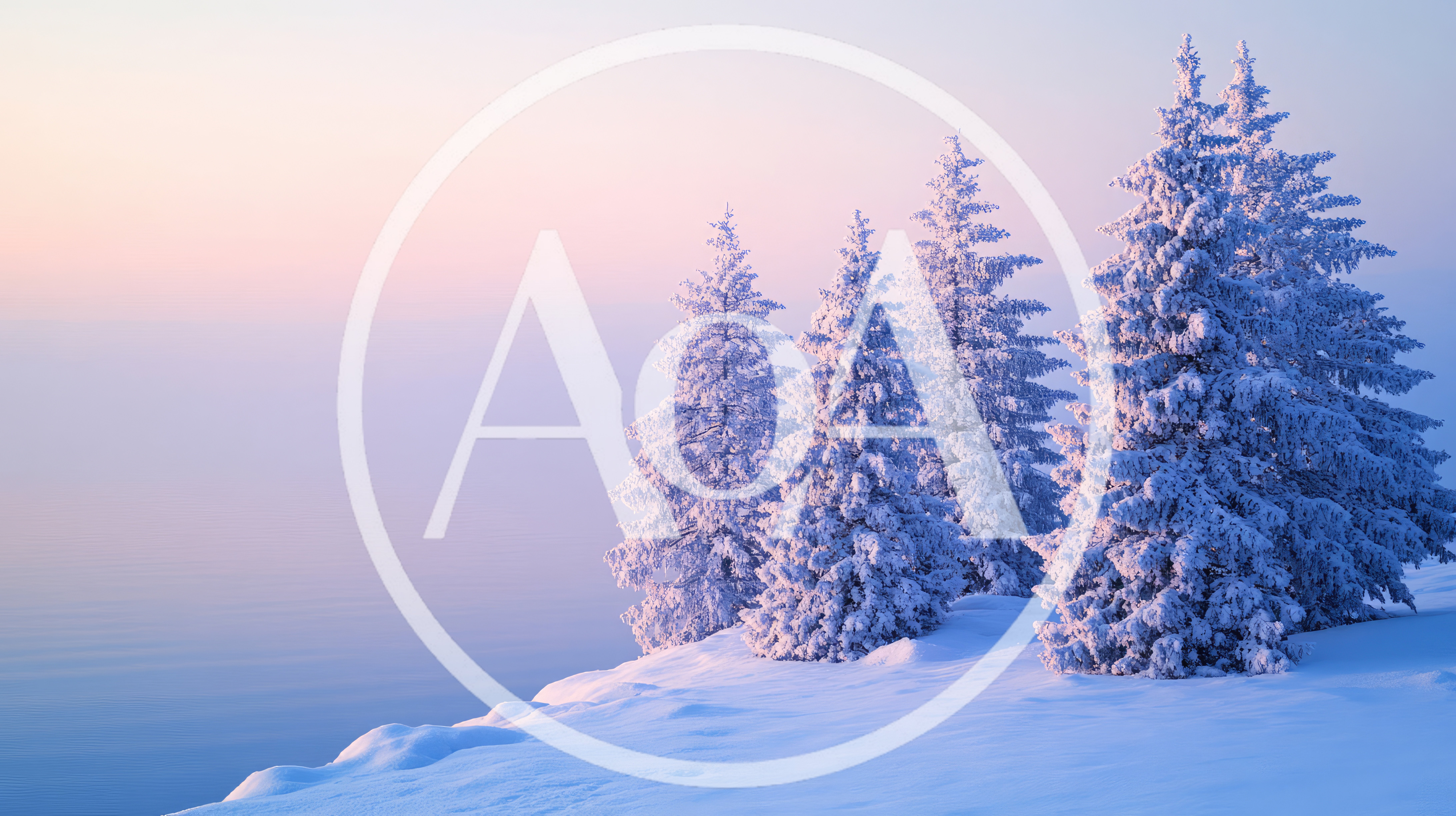 Snow Covered Pine Trees At Sunrise