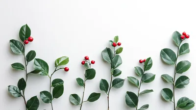 Green Sprigs With Red Berries On White Background