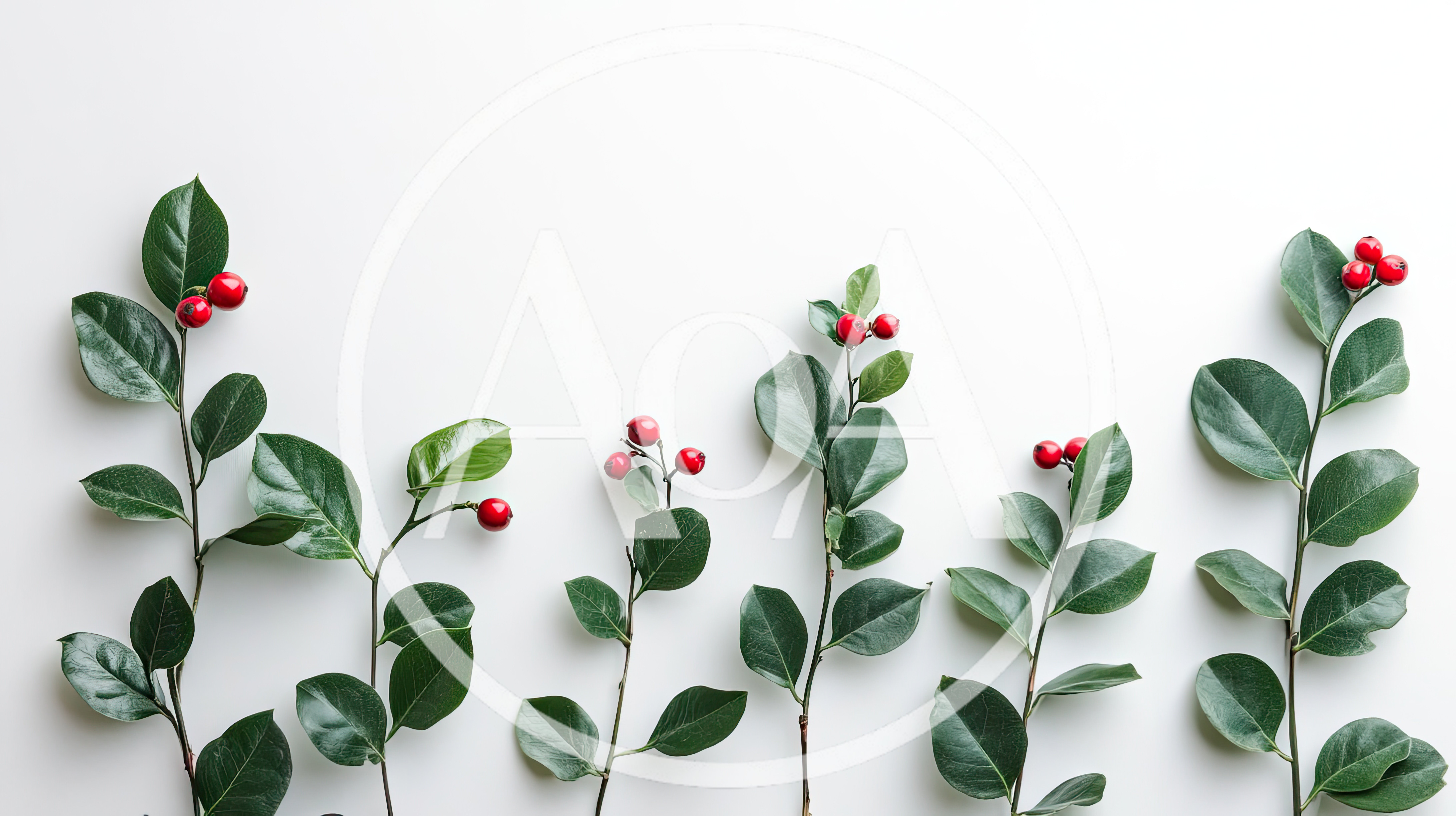 Green Sprigs With Red Berries On White Background