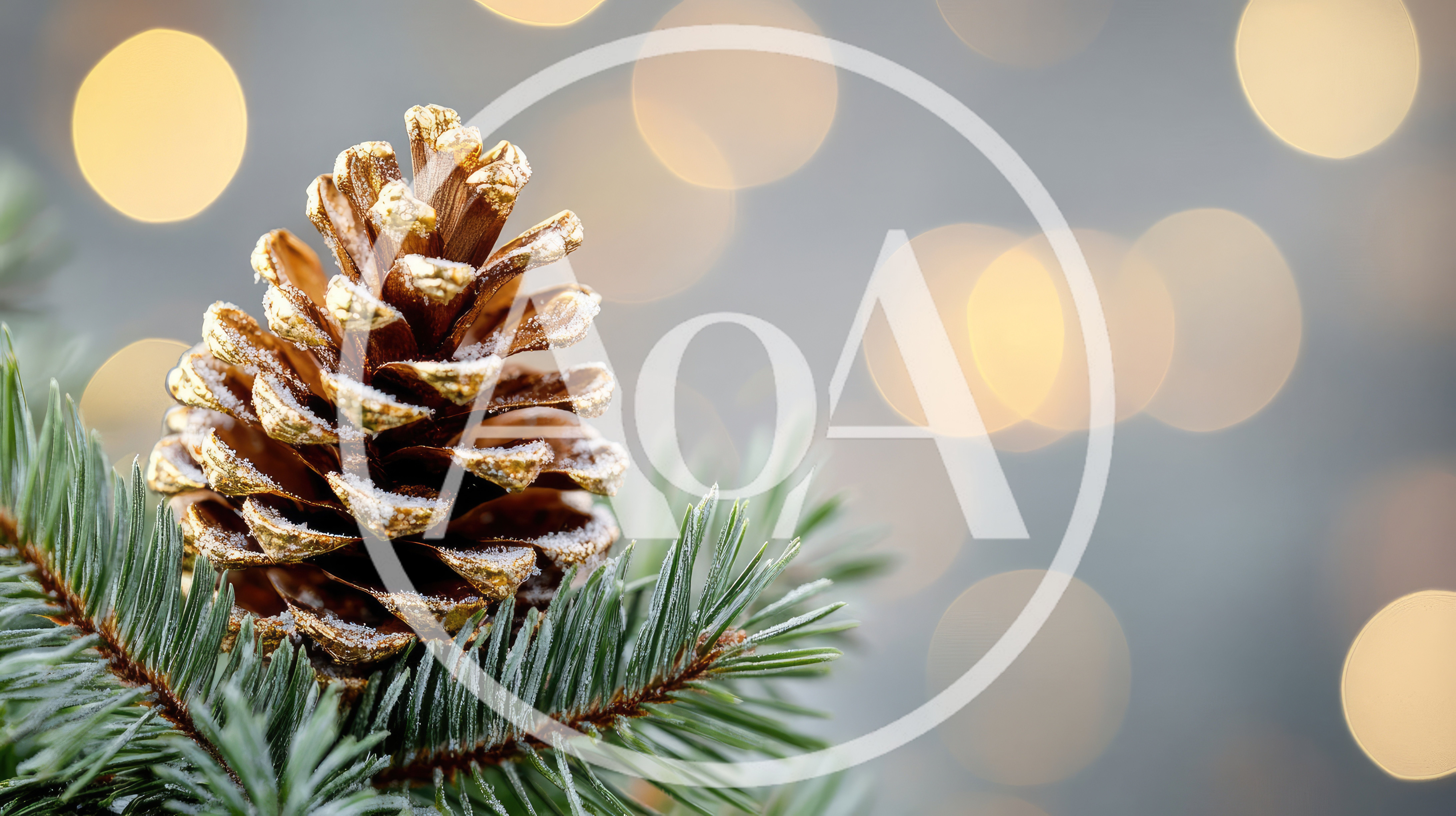 Golden Pine Cone On Fir Branch With Bokeh Lights