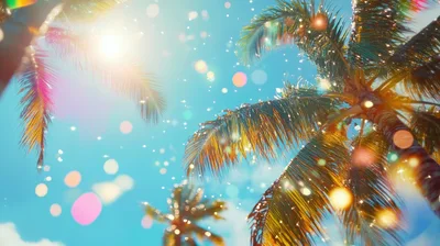 Palm Trees Under Bright Sunny Tropical Sky