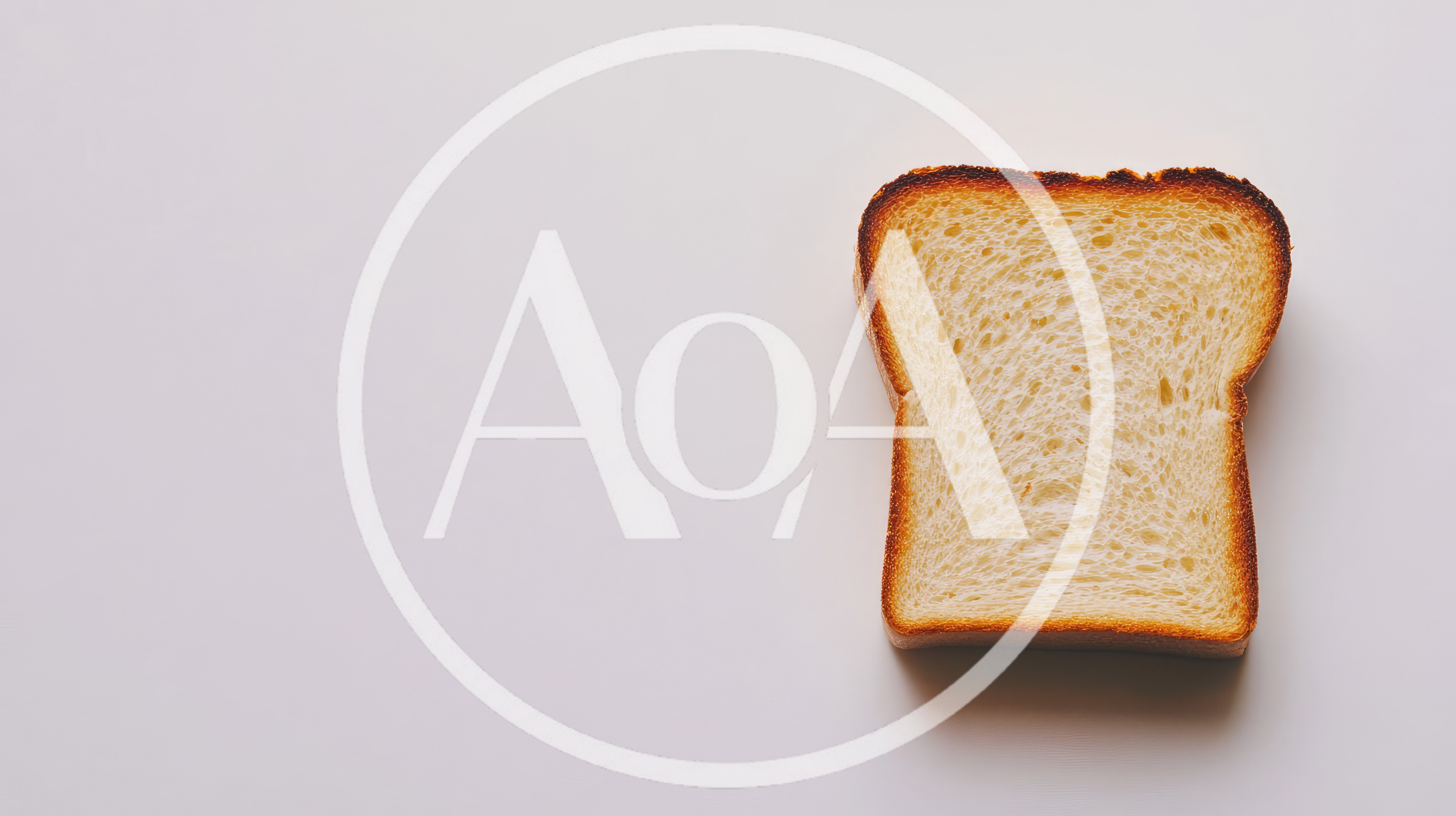 Single Slice Of Toasted White Bread