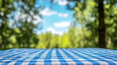 Blue Gingham Picnic Tablecloth Outdoors