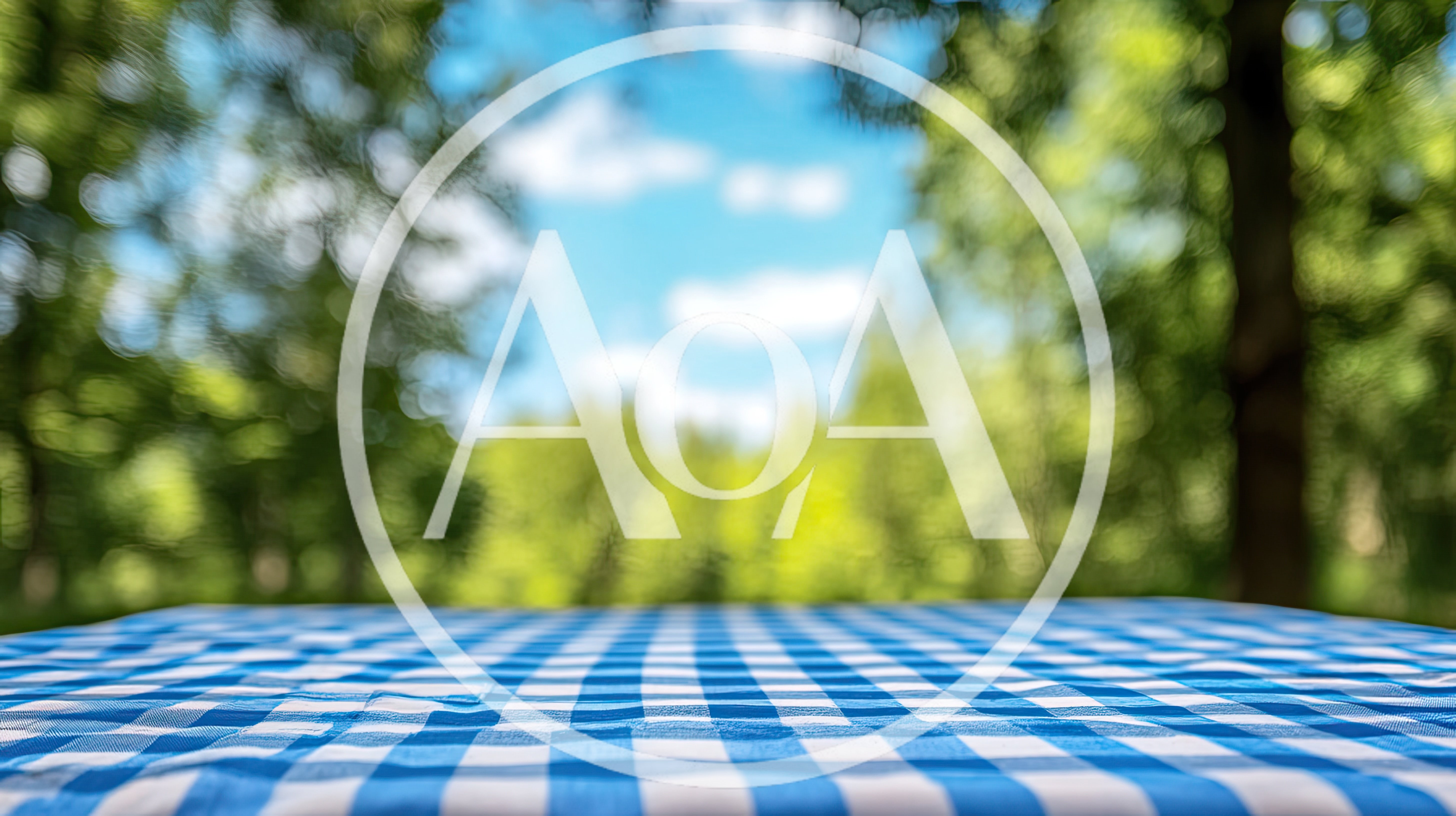 Blue Gingham Picnic Tablecloth Outdoors