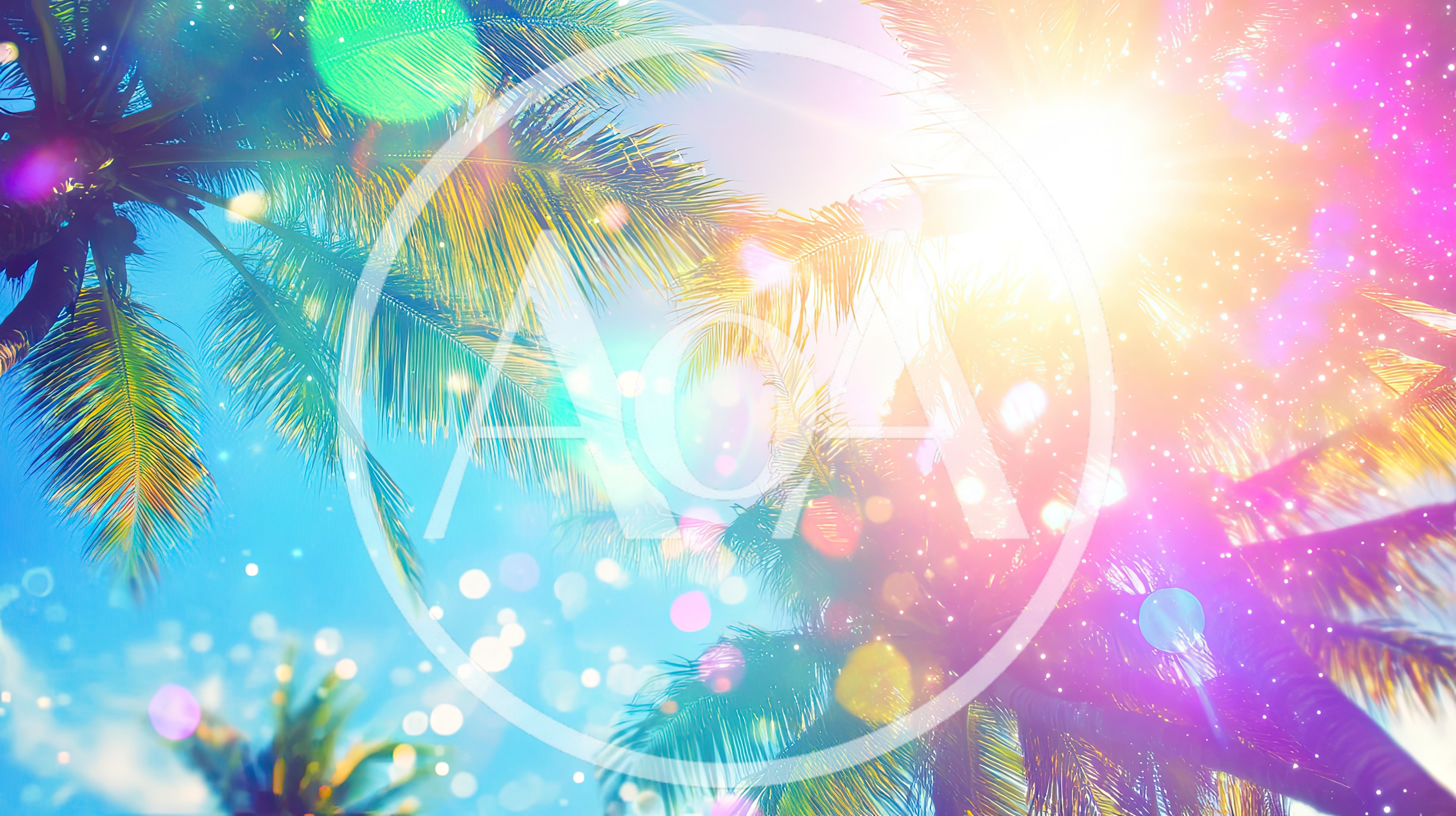 Tropical Palm Trees Under Bright Summer Sun