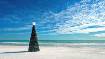 Christmas Tree Standing Alone On A Tropical Beach