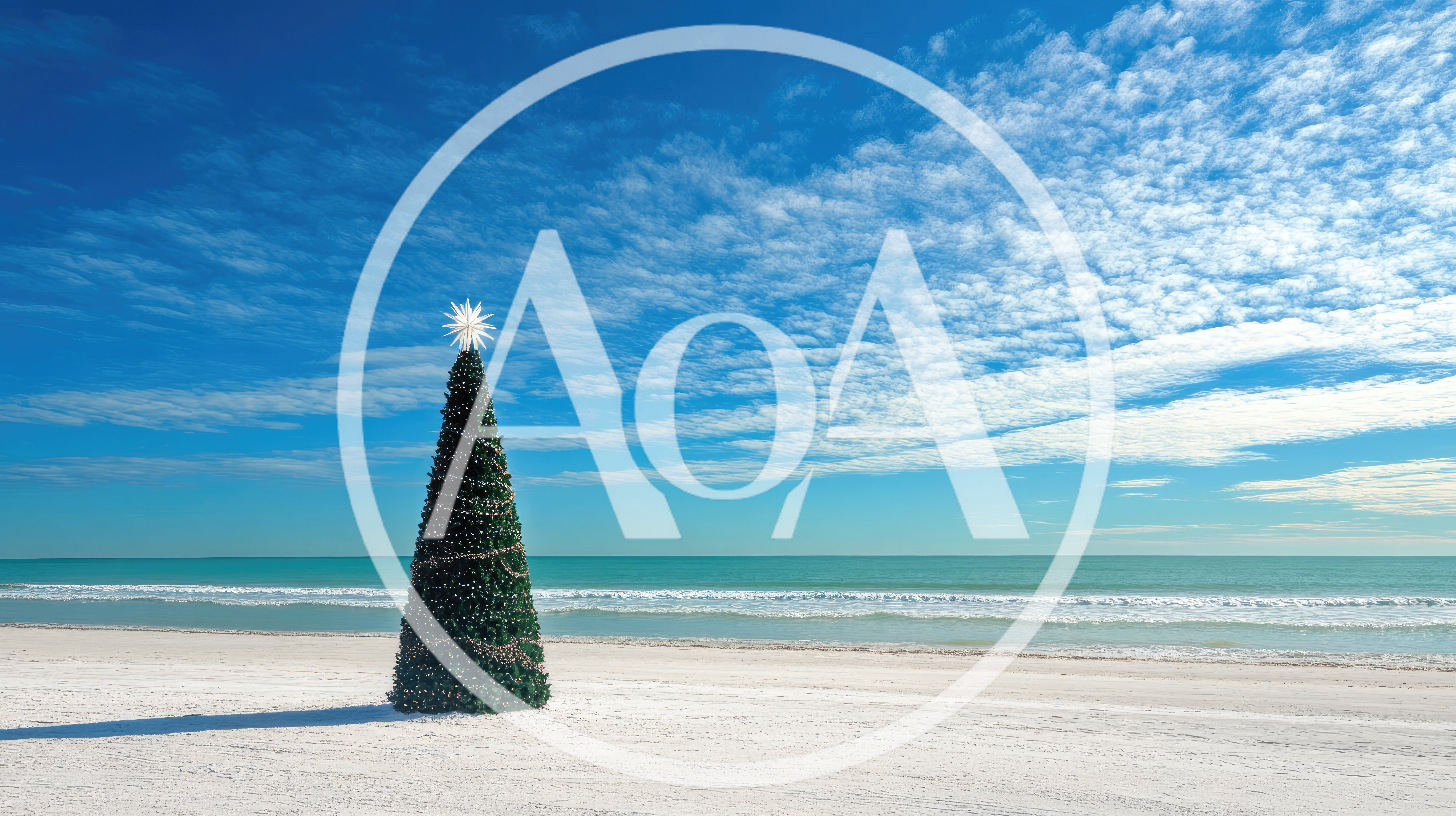 Christmas Tree Standing Alone On A Tropical Beach