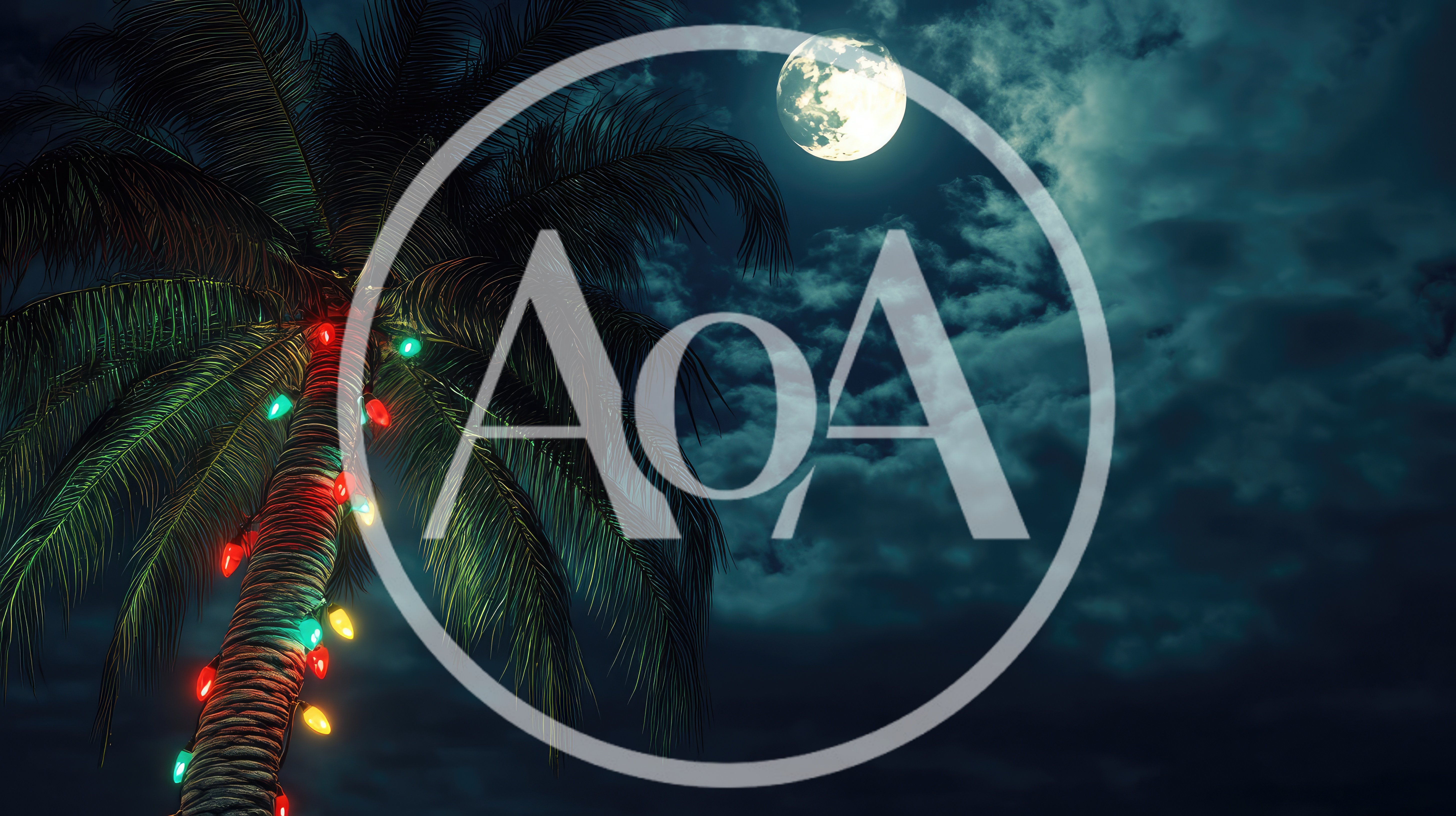 Palm Tree Decorated With Christmas Lights Under Full Moon