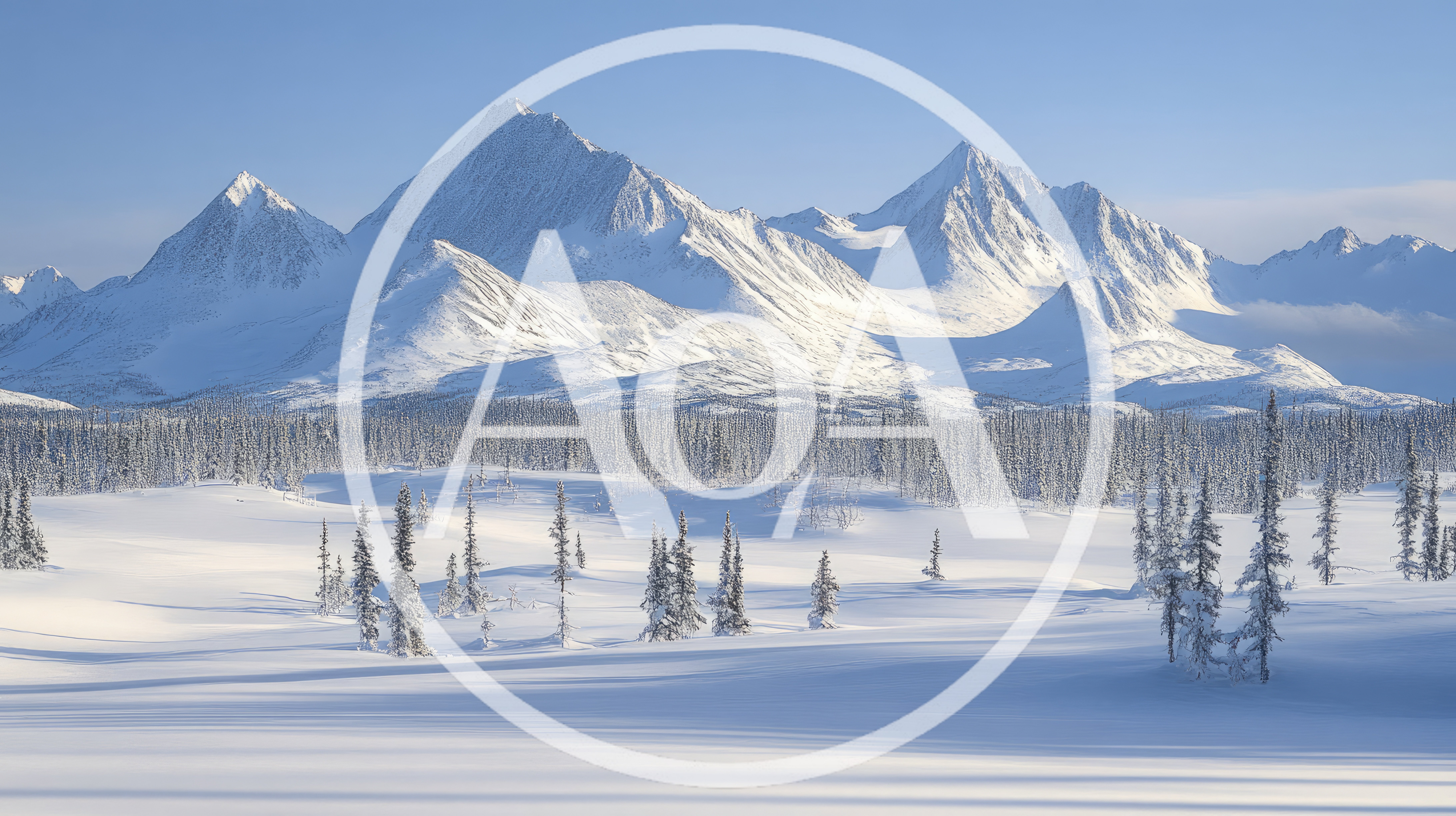 Snow Covered Mountains And Pine Forest In Winter