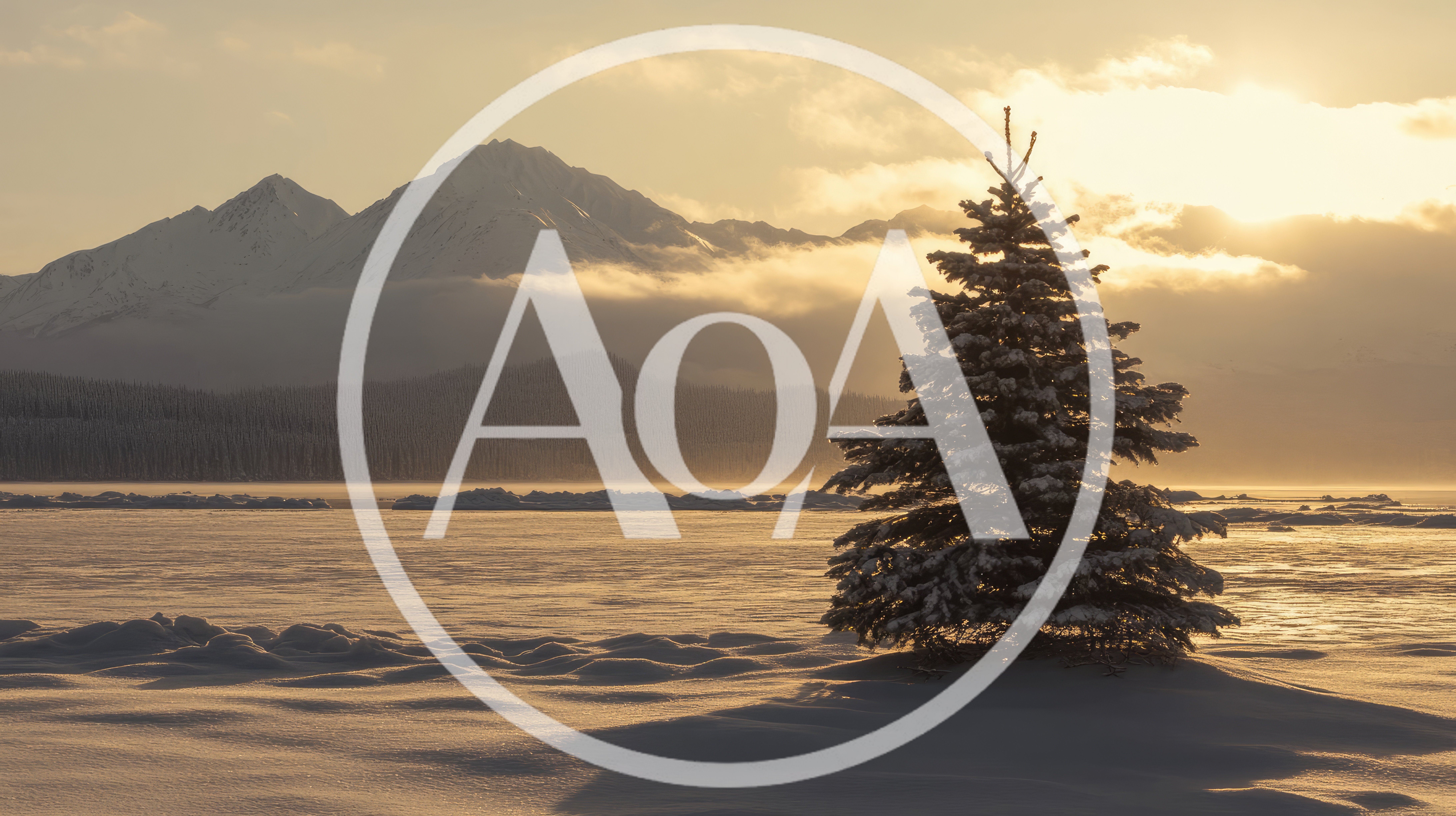 Snow Covered Pine Tree Against Alaskan Mountain Range
