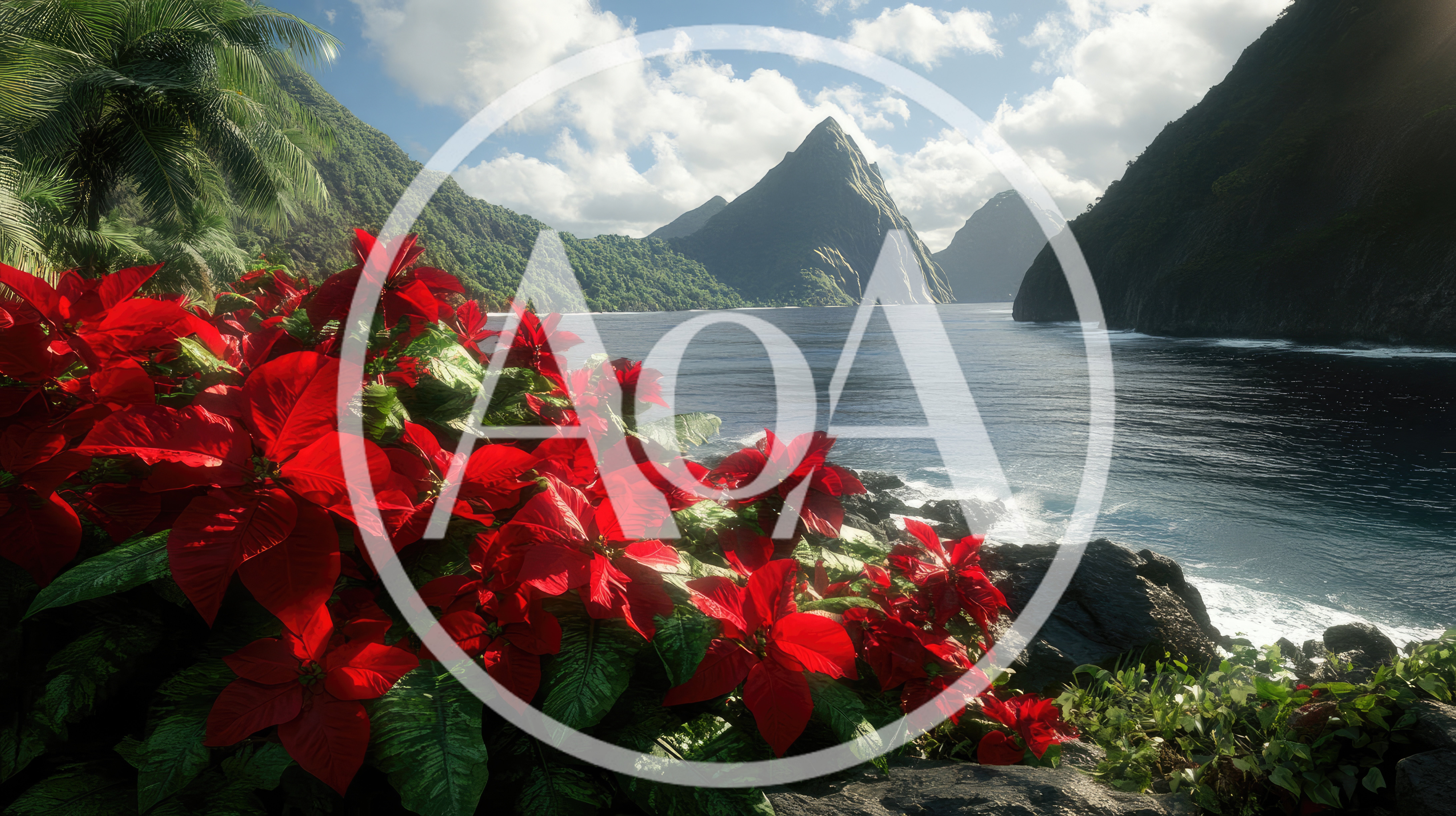 Poinsettia Flowers Overlooking The Pitons In Saint Lucia
