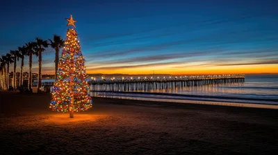 Illuminated Christmas Tree On Beach At Sunset