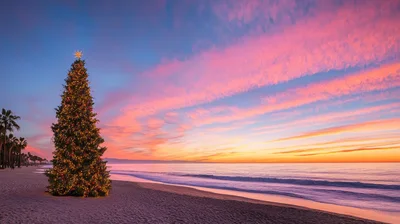 Christmas Tree Standing On A Sandy Beach At Sunset