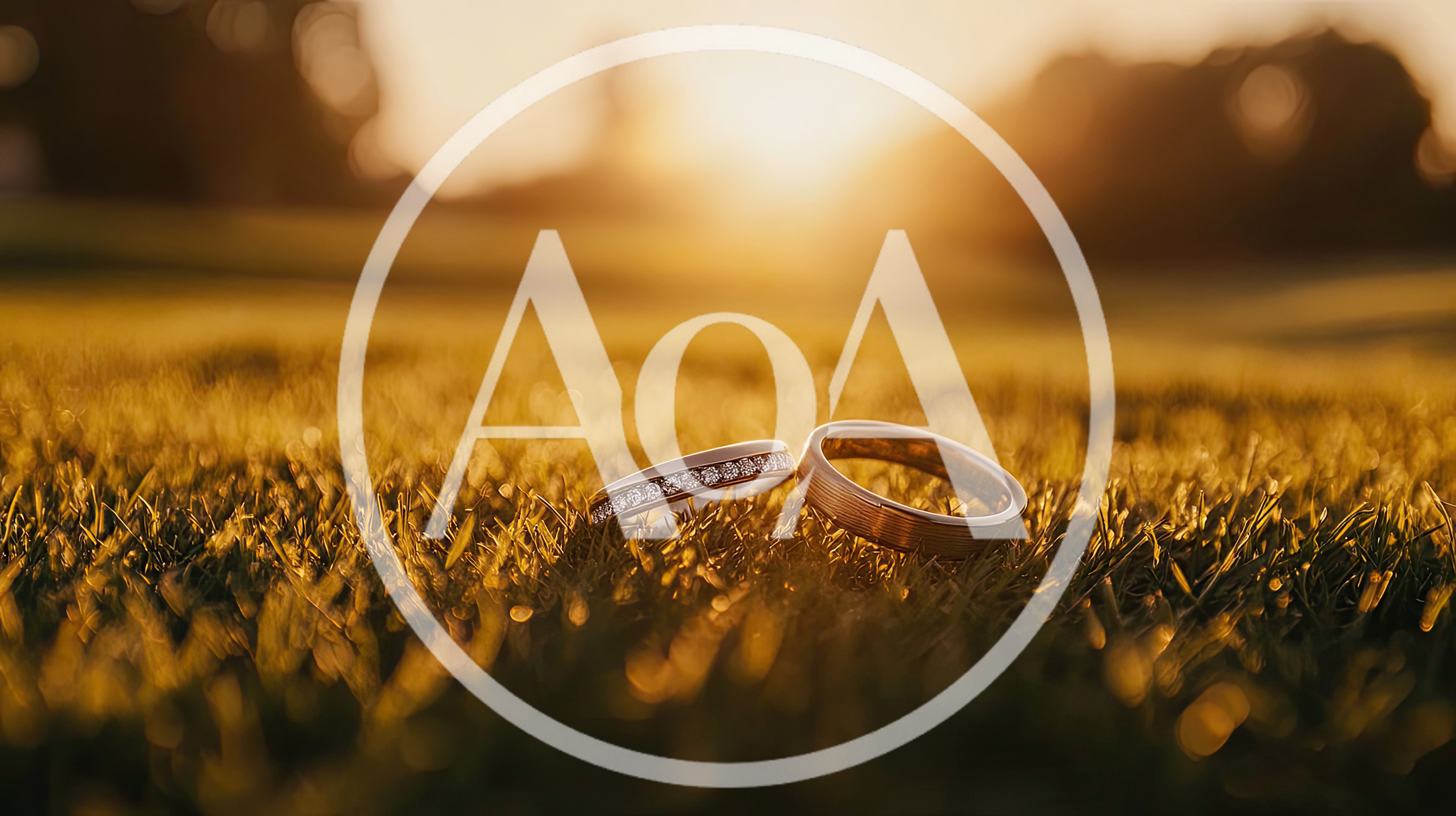 Two Wedding Rings Resting On Grassy Field At Sunset