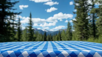 Blue Gingham Picnic Tablecloth Outdoors