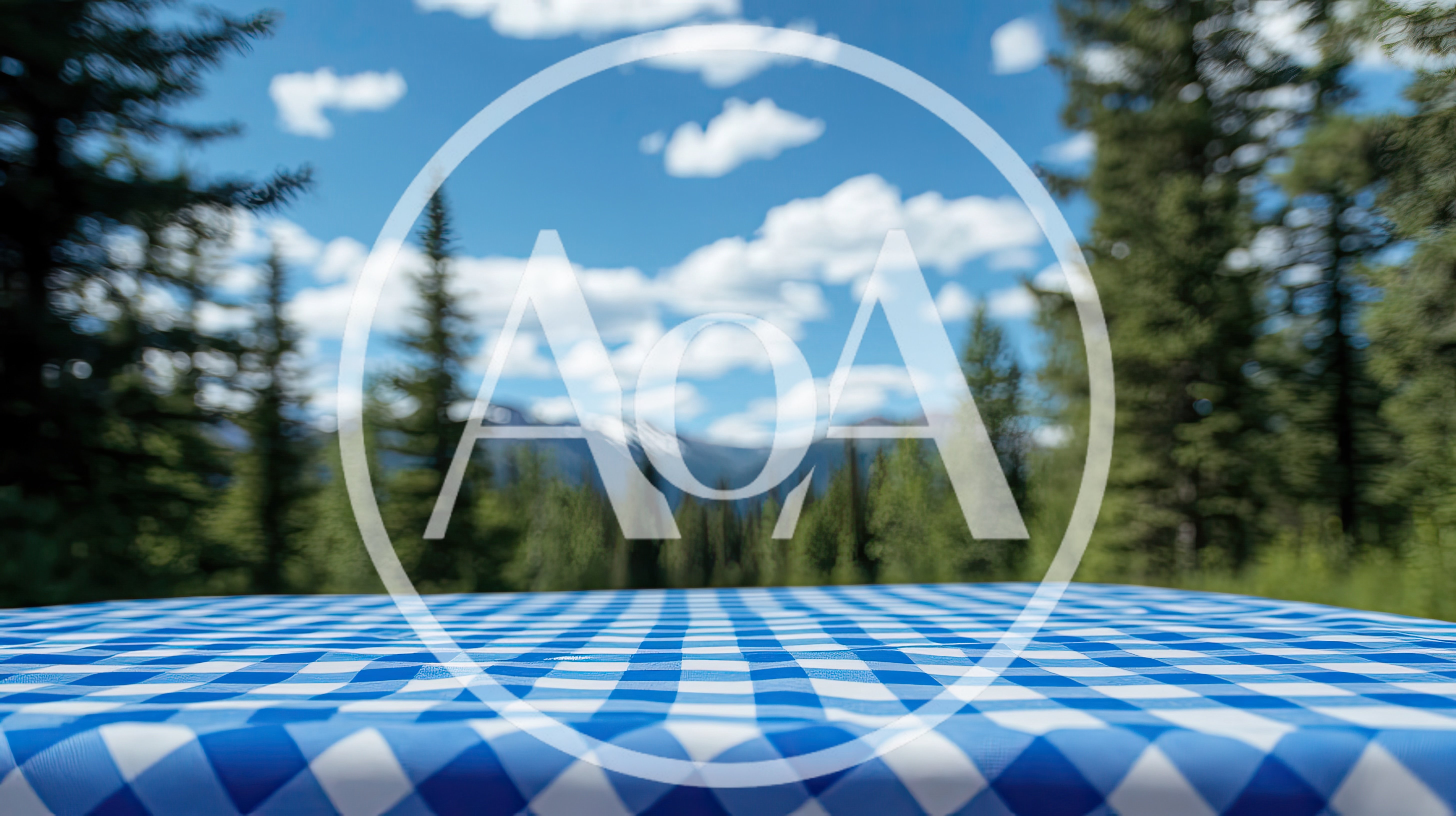 Blue Gingham Picnic Tablecloth Outdoors