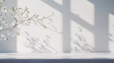 Minimalist Product Display With Cherry Blossom Branch