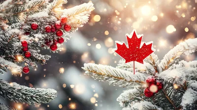 Canadian Maple Leaf Ornament on Snowy Pine Branch